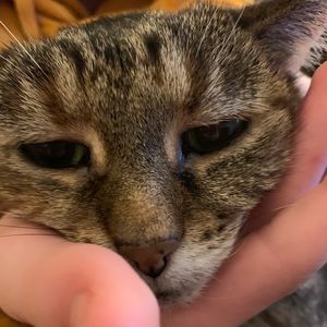 Meet your Posher, Kaylee